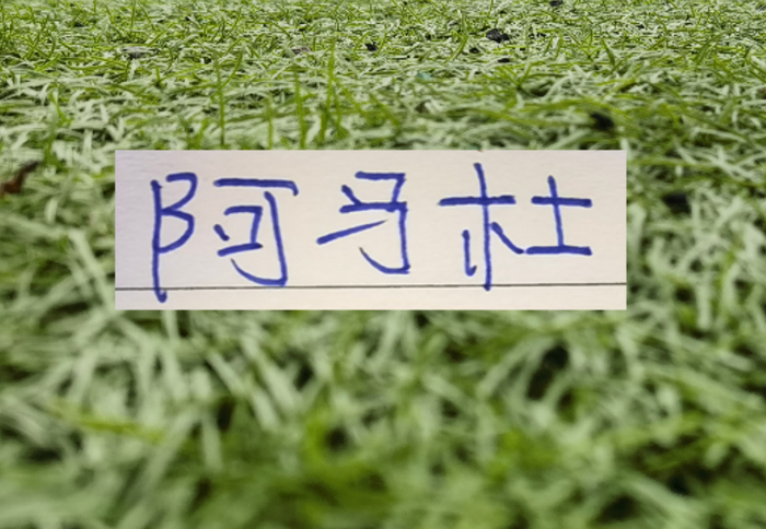 阿马杜跑动12000米回春 重庆铜梁龙掀翻海港